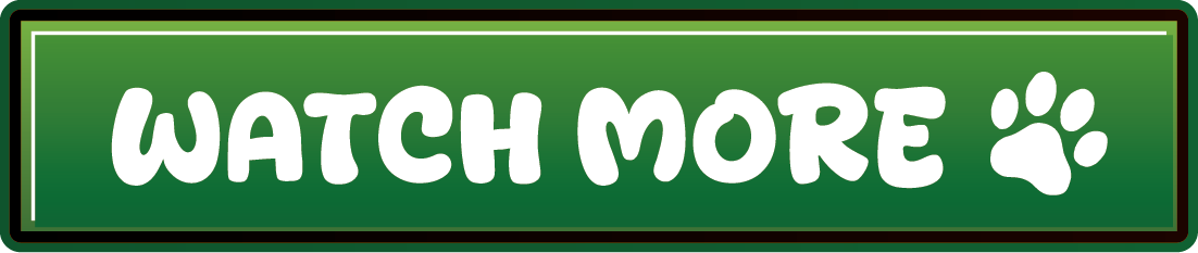 Watch More