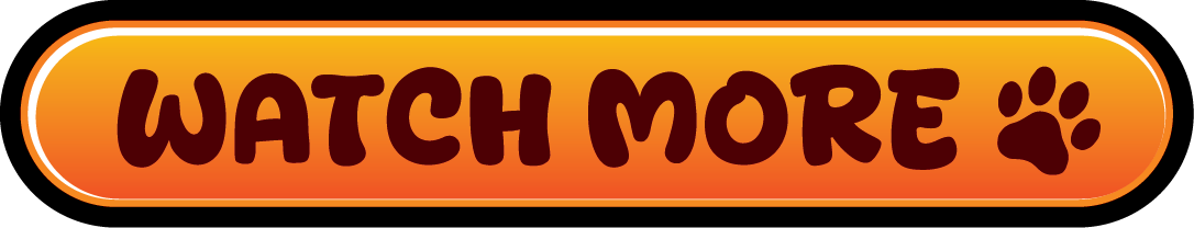 Watch More