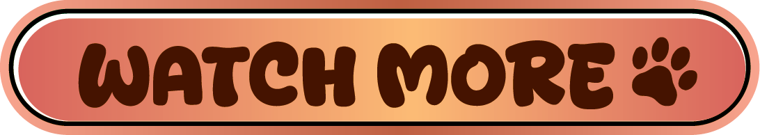 Watch More