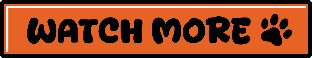 Watch More
